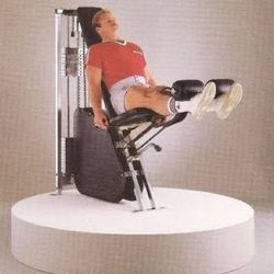 Nautilus OG Gen 1 Center & Chain Driven Leg Extension