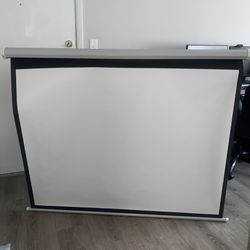 Projector Pull Out Screen 