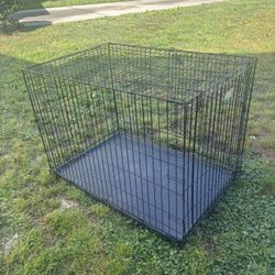 large dog cage 