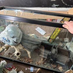 55 gallon tank