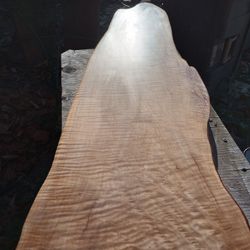Curly Maple Slab 