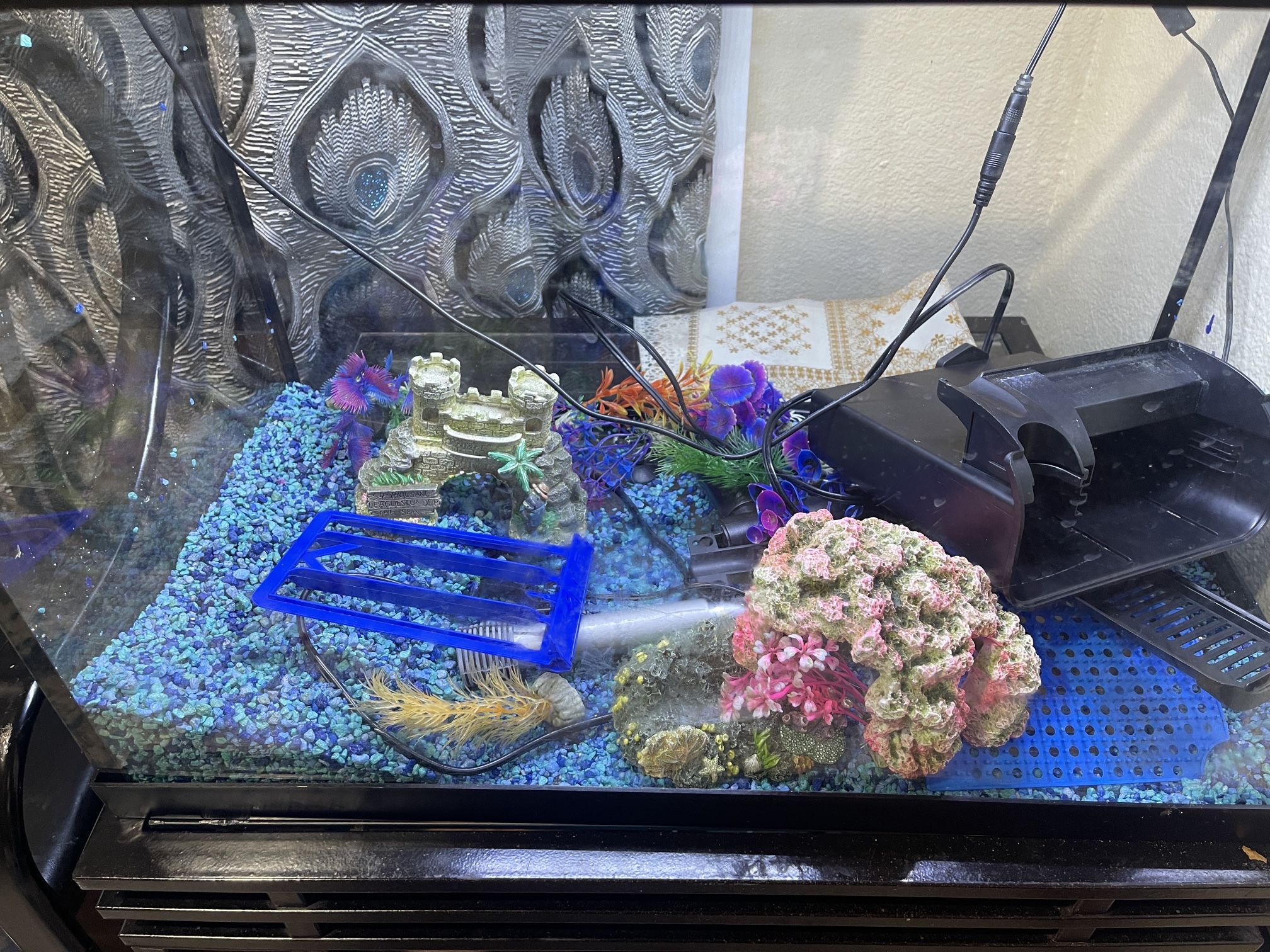 Set Of Fish Aquarium, 20 Gallon Fish Tank, With Table And All Necessary Items