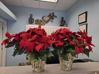 2 Artificial Poinsettia