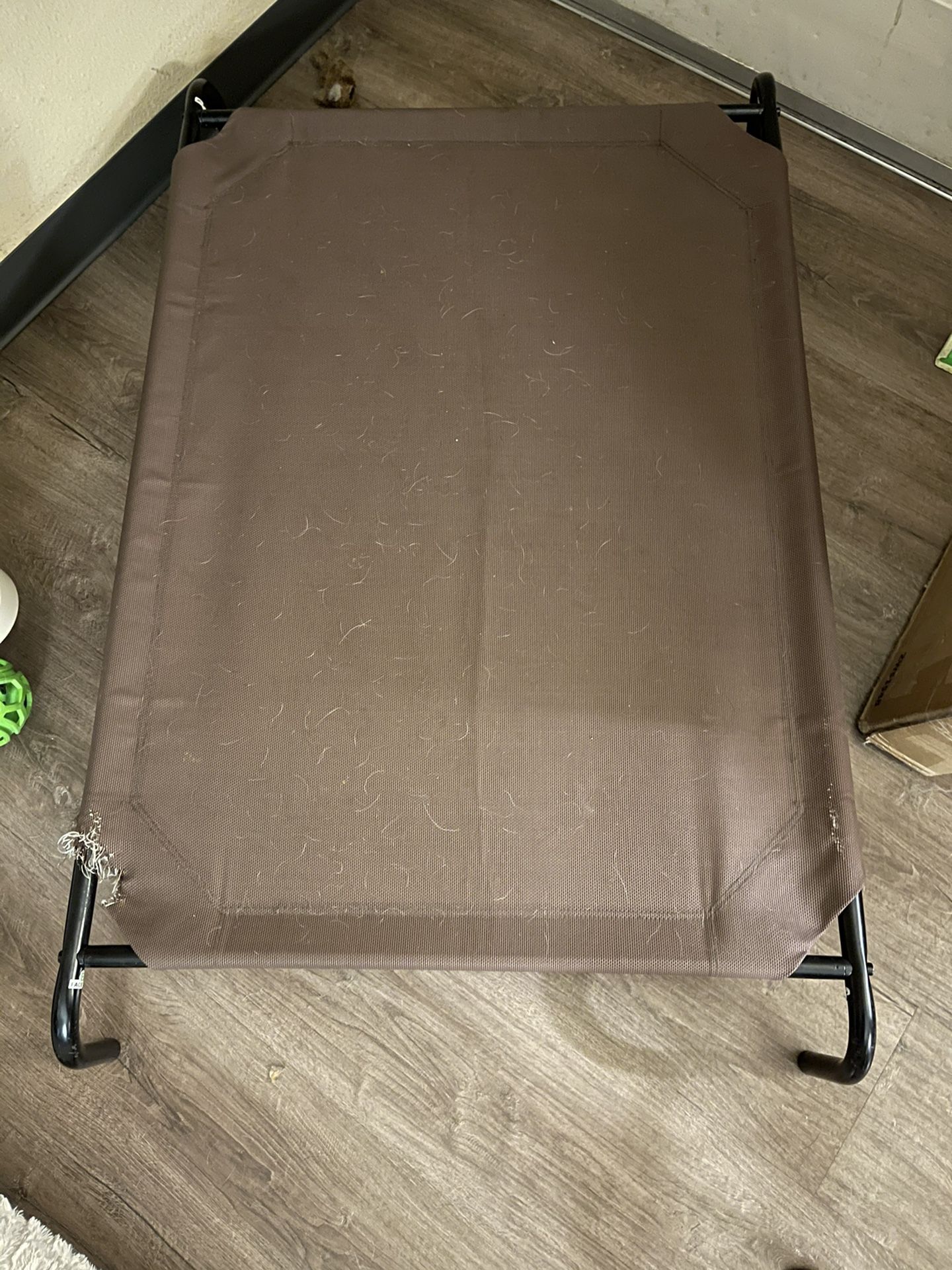 Large Elevated Dog Bed