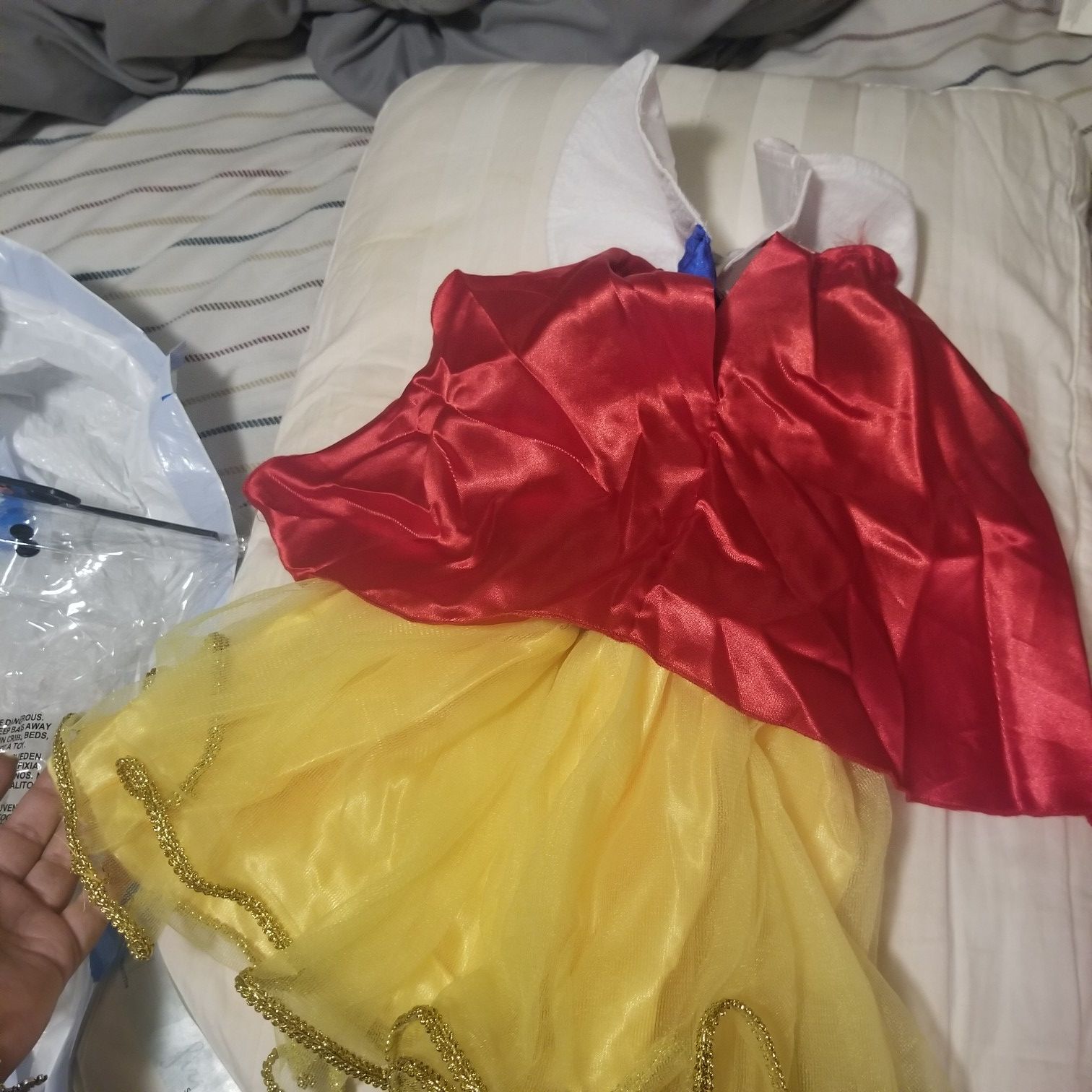 Disney costume!