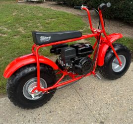 Mini bike