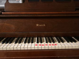 Piano -  Starck