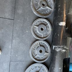 Golds Olympic Weights