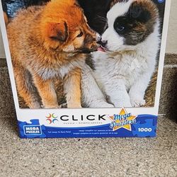 1000 Piece Puzzle