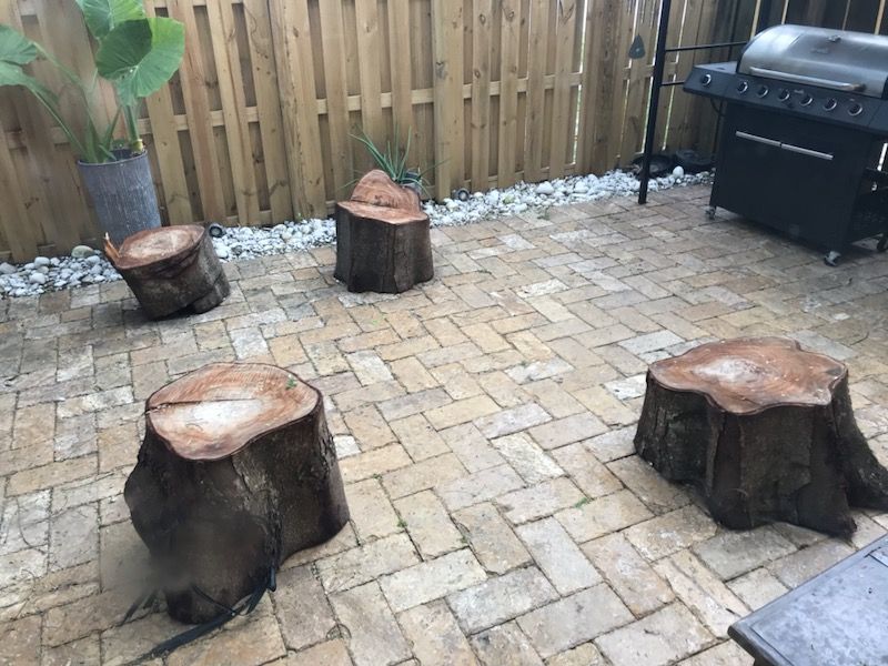 Free Tree stumps / wood