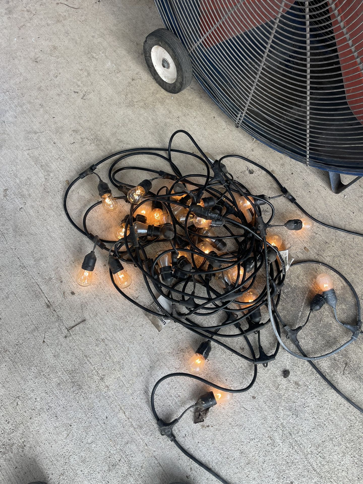 Outdoor Lights 5 Or 6 Strands  20. Dollars For All