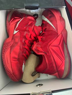 Nike LeBron 12