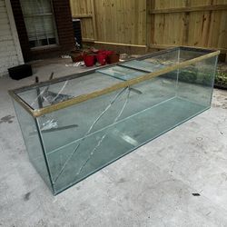 6ft long fish Tank 