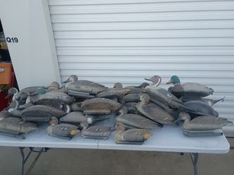 30 hunting ducks decoys