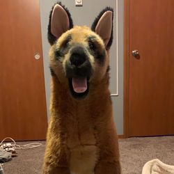 german shepherd stuffed animal 