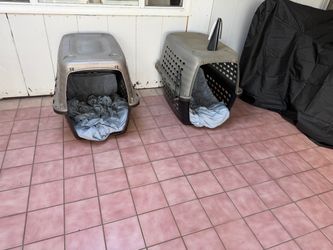 Free dog crates- missing doors