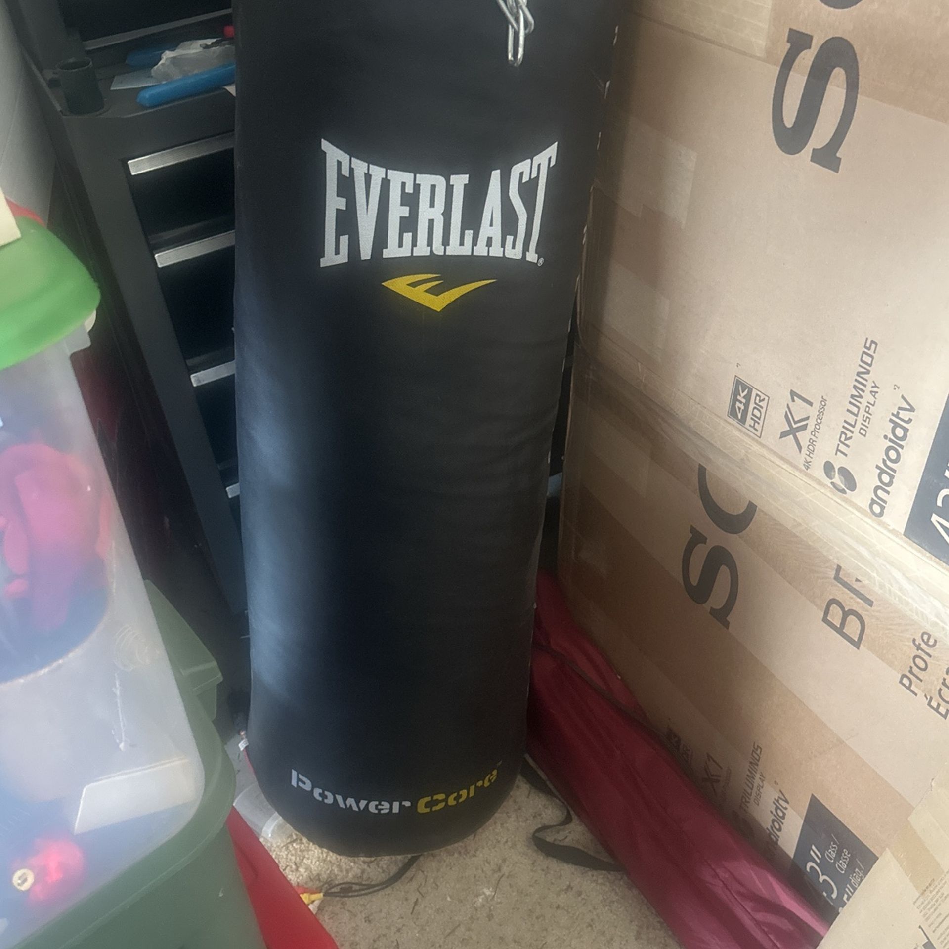 Everlast PowerCore heavy bag