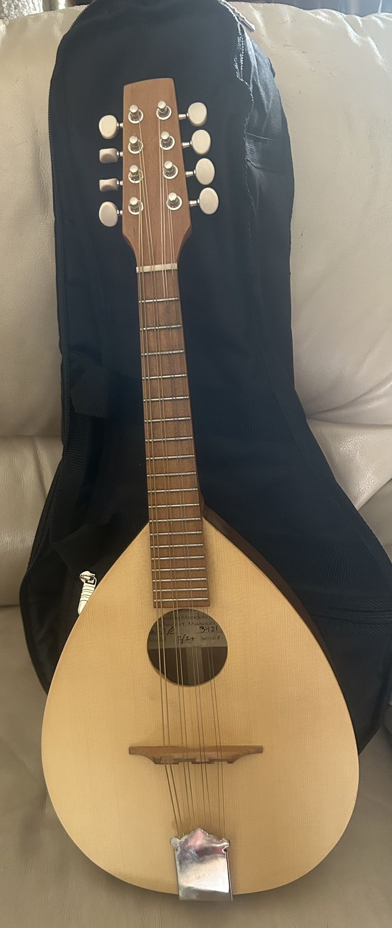 Big Muddy - USA made Mandolin