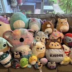 Squishmallows NEW