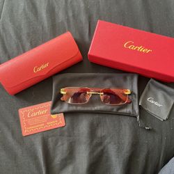 Mens Designer Sunglasses