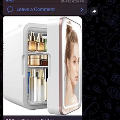 Mini Fridge For Beauty $20 Like New Northeast 
