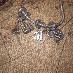 Pandora Charms 