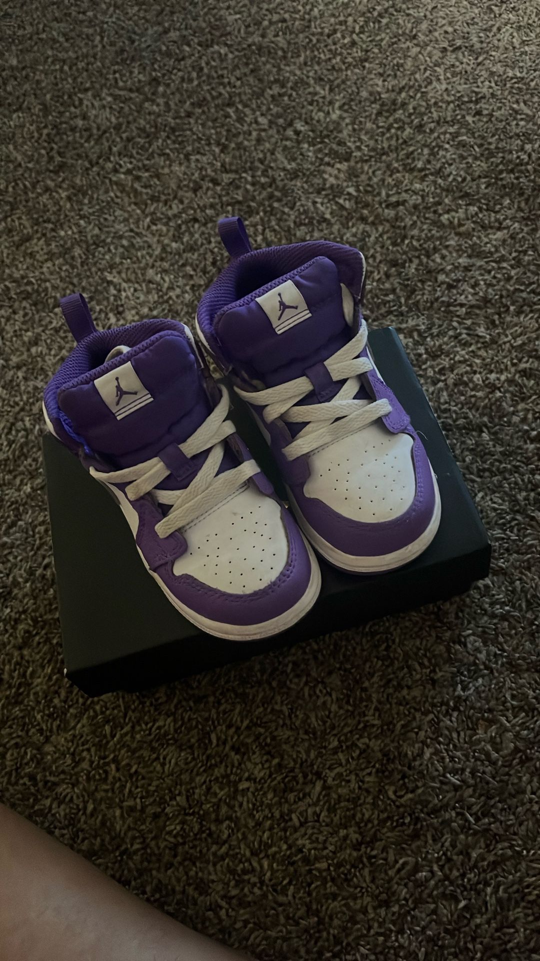 Toddler Jordan Retros