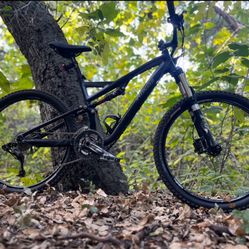 Specialized Stumpjumper