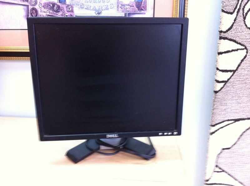 Dell 19" CN-OWH319 LCD Monitor