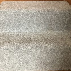 2 Step Animal Carpet Stairs