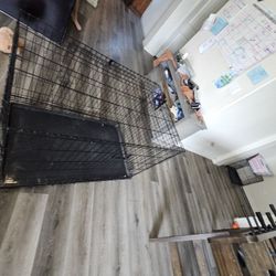 XL Dog Kennel $30 