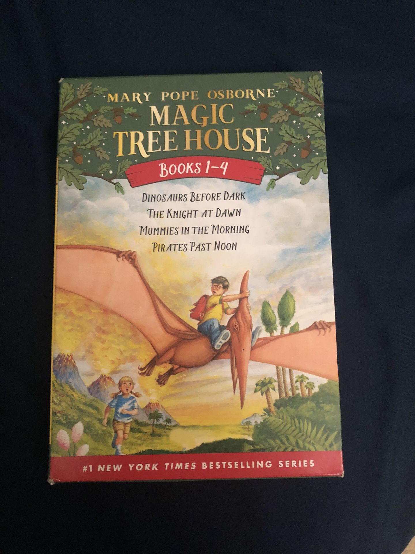 MAGIC TREEHOUSE BOOK SET