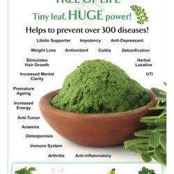 Moringa tree
