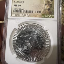 Silver Coin