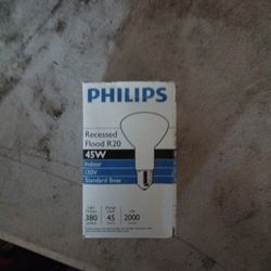 Light 
