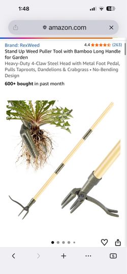 RexWeed Stand Up Weed Puller Tool