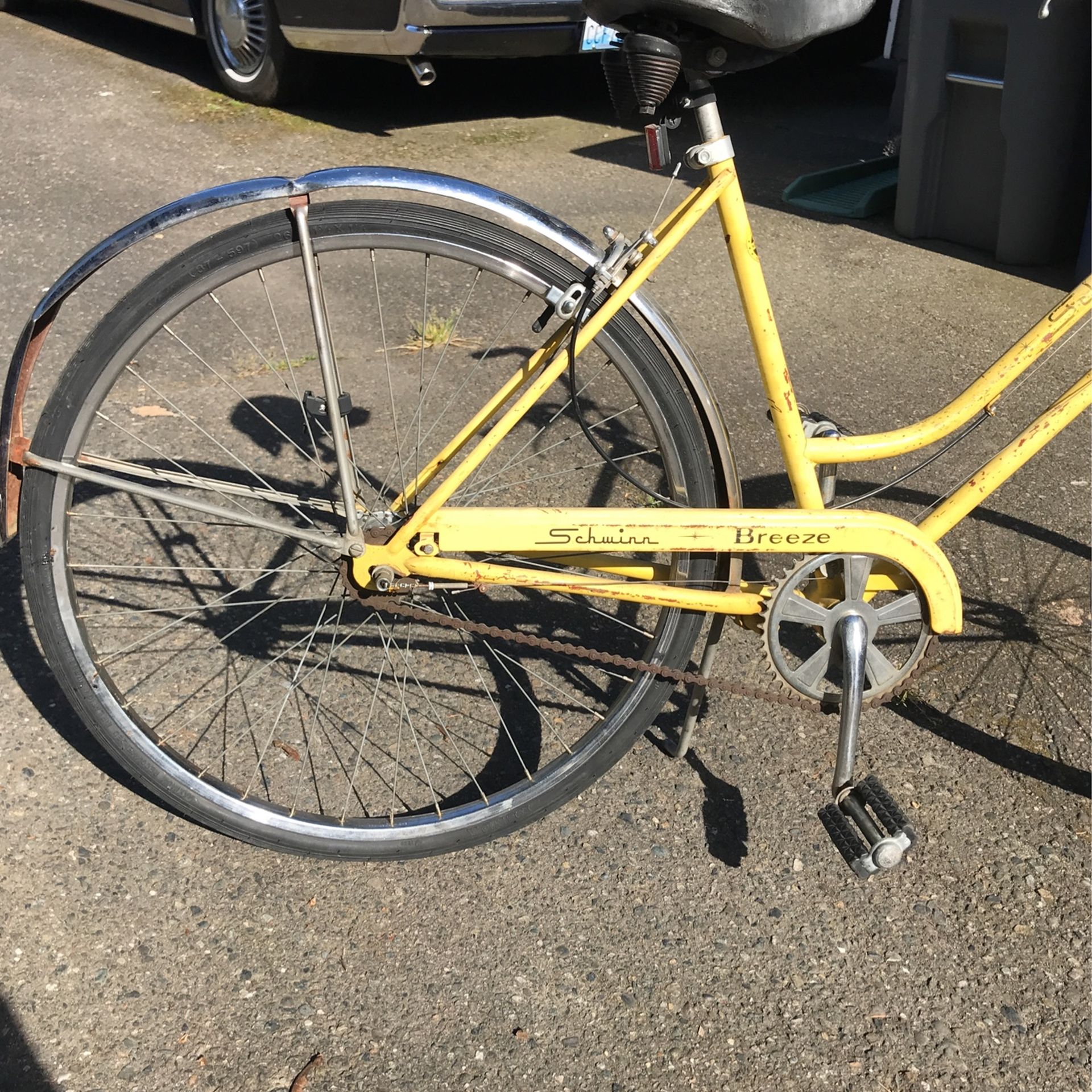 Vintage Schwinn Breeze Bicycle! Yellow