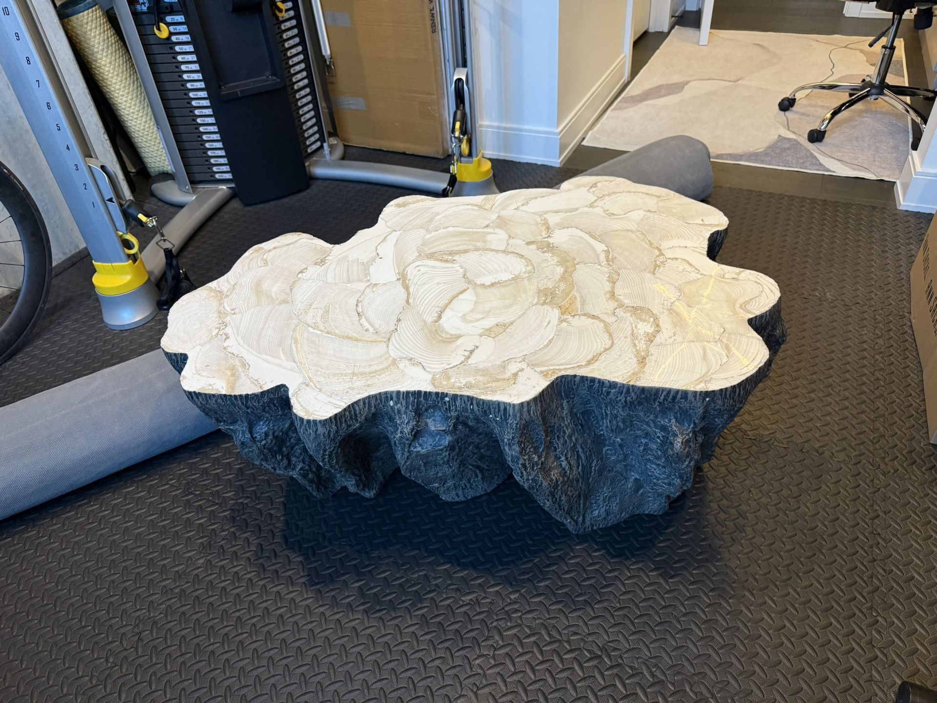 Palocek Ursula Fossilized Clam Coffee Table