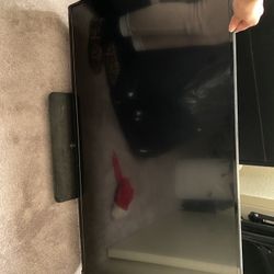 Vizio Flat Screen
