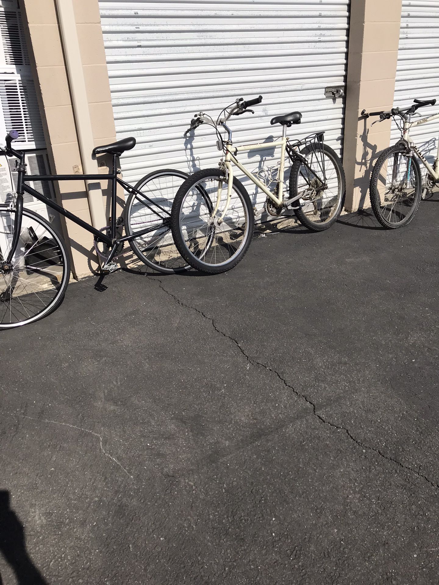 3 Bikes For $100