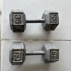 35lbs. Dumbbells 