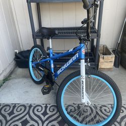 Boys Schwinn  Bike(20’)