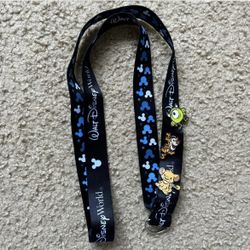 walt disney world lanyard and pins