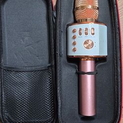 Bluetooth Karaoke Microphone with Case (Works Great)