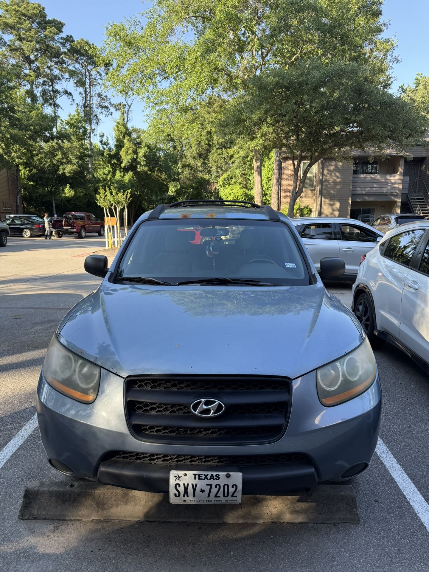 2009 Hyundai Santa FE