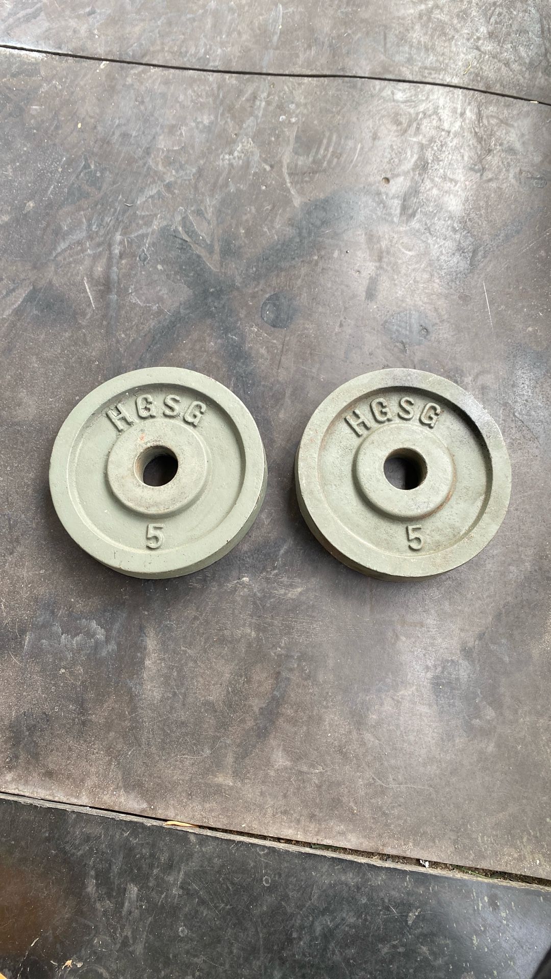 5LB (2) HGSG Weights