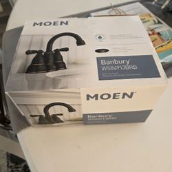 Moen Faucet