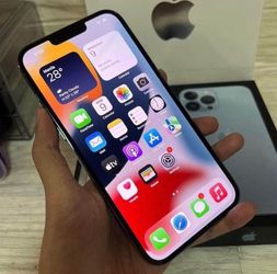 iPhone 13 Pro Max