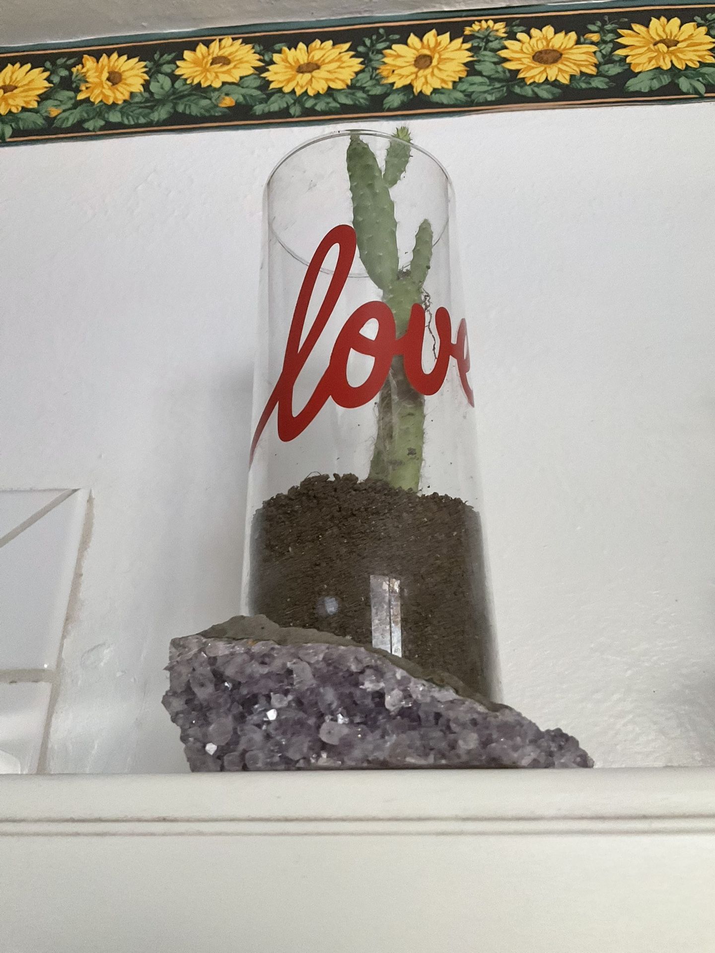 Jar With Live Plant And Amethyst