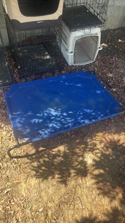 Outdoor Dog Bed